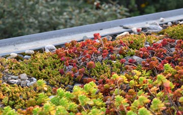the cost of Skilling green roof installation
