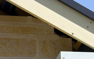 soffit repair Skilling