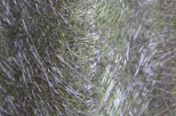 Skilling fibreglass roof work