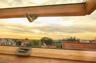 rated Skilling roof window companies